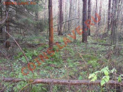 ФОТООТЧЕТЫ ПО ВЫЕЗДАМ СЕЗОН 2012 года - SDC10643.JPG