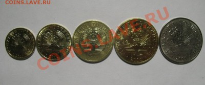 Таджикистан набор 5 монет 2011(12г) от 100р - IMG_5877