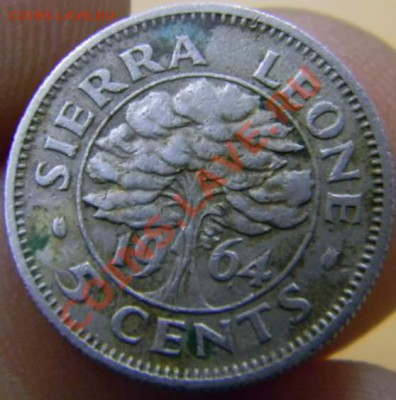 5 центов Сьера Лионе 1964г. - DSCN3421_thumb