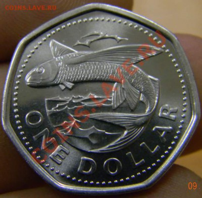 1 доллар Барбадос 2007г. UNC - DSCN3486_thumb