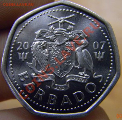 1 доллар Барбадос 2007г. UNC - DSCN3487_thumb