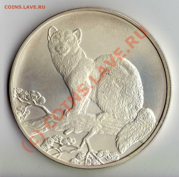 3 рубля Соболь 1995 г. Ag925 31,1 гр. - img380