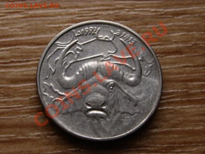 Алжир 1 динар 1992 буйвол до 12.11.12 в 21.00 М - IMG_5932