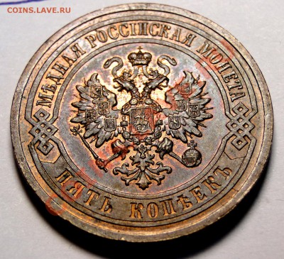 5 копеек 1911 на оценку - DSC04956.JPG