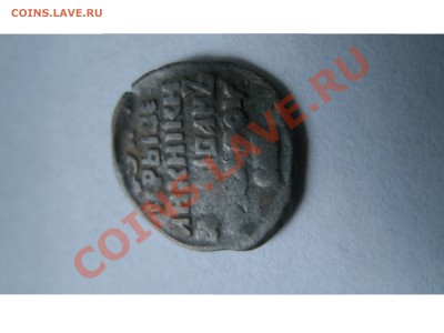 прошу опознать чешуйку - GEDC0239.JPG