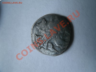 прошу опознать чешуйку - GEDC0240.JPG