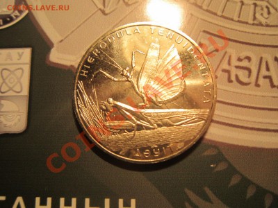 Богомол - Казахстан 2012 до 12.11-22.00 - IMG_3504