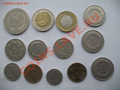 опознание - IMG_4505_thumb