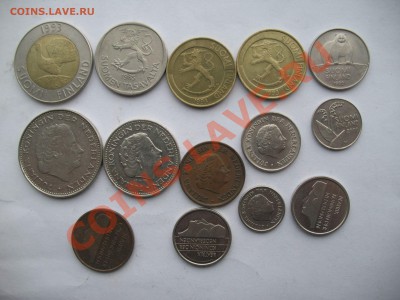 опознание - IMG_4517_thumb