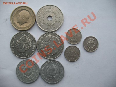 опознание - IMG_4525_thumb