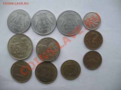опознание - IMG_4530_thumb