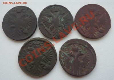 Денга 1731-47гг (5шт) до 14.11.12г до 22-00 по МСК - DSC04929_cr