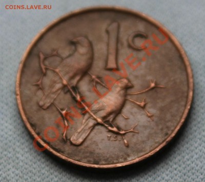 СТАРАЯ ЮАР 1с 1966г. ВОРОБЬИ до 17.11.12г. в 22-00 - IMG_3615.JPG