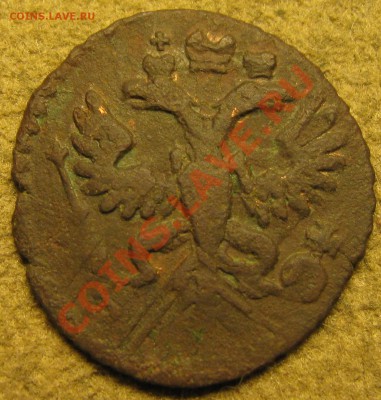 полушка 1731г. орел? - IMG_5624.JPG