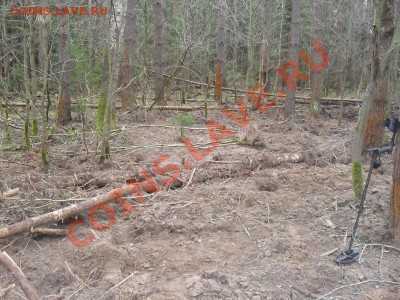 ФОТООТЧЕТЫ ПО ВЫЕЗДАМ СЕЗОН 2012 года - SDC10723.JPG