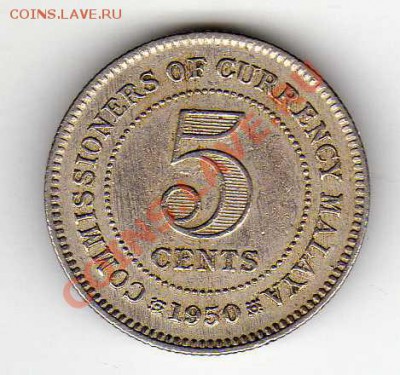 Брит.Малайя 5 центов 1950 до 19.11.12 в 22.00мск (3699) - img218