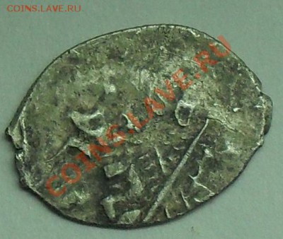 Чья чешуя?? - SDC10757.JPG