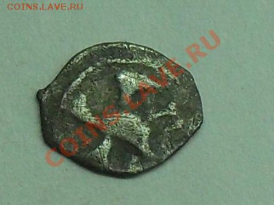 Чья чешуя?? - SDC10762.JPG