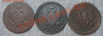 "Уставшая "царица полей" (3шт.)  до 16.11.2012г.  22:00  МСК - IMG_5495