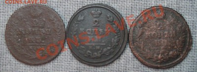 "Уставшая "царица полей" (3шт.)  до 16.11.2012г.  22:00  МСК - IMG_5494