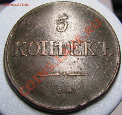 5 копеек 1831 СМ хорошая до 17.11.12 в 22.00 мск - 4