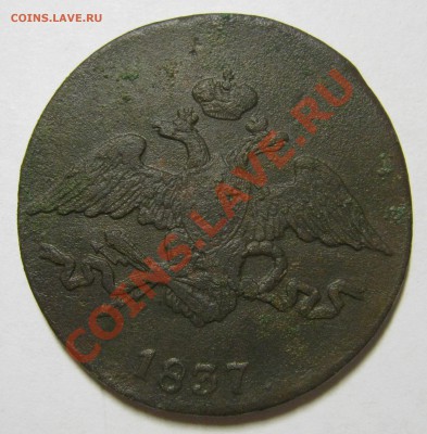 5 копеек 1833,1837 СМ до 18.11.12 в 22.00 мск - 5 коп 1837 1