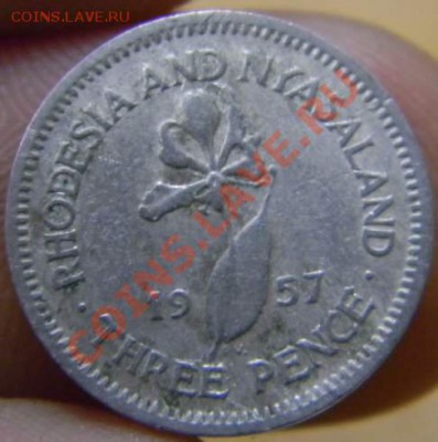 3 пенса родезия и ньясаленд 1957г. - DSCN3539_thumb