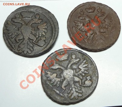 Большой лот денег 1731-1754 - DSC01751.JPG