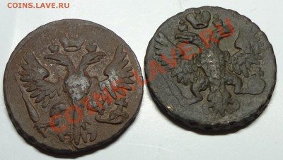 Большой лот денег 1731-1754 - DSC01770.JPG