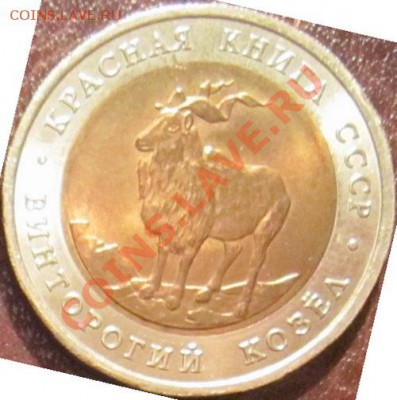 Красная книга - Винторогий козел до 18.11 - 22.00 - koz1