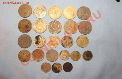 Ранние советы на опыты(24 монеты)  до 17.11.12  до 22.00 мск - IMG_4933.JPG