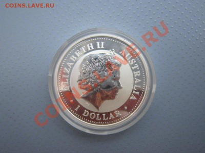 Австралия 1 дол 2004 год Обезьяны - IMG_1931