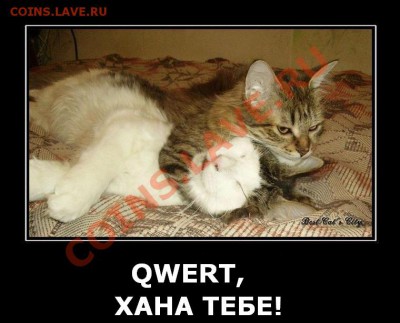 делает - прямо сейчас !!! - 326247_kote-killer