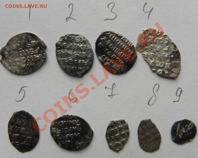 9 -чешуек на опознание и оценку. - DSCN7534.JPG