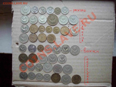 куча браков до 23.11.12-22.00м - IMGP42201.JPG