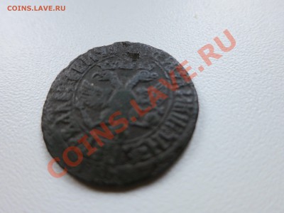 только с копа - IMG_2250.JPG