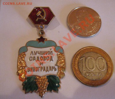 Лучший садовод и виноградарь тм 21.11 в 21-00 мск - 17.9.12 (15-17) 035.JPG