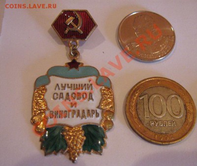 Лучший садовод и виноградарь тм 21.11 в 21-00 мск - 17.9.12 (15-17) 036.JPG