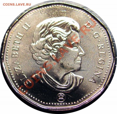 U02 Канада 1$ 2008 Lucky Loonie UNC до 25.11 в 22°° - U02 1$ 2008 Lucky Loonie_2