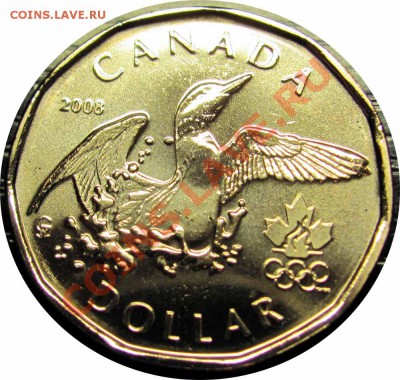 U02 Канада 1$ 2008 Lucky Loonie UNC до 25.11 в 22°° - U02 1$ 2008 Lucky Loonie_1