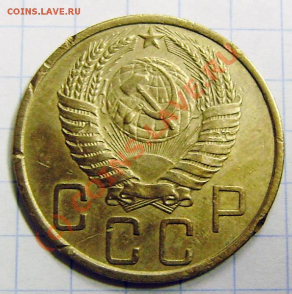 вида) - PA090015.JPG