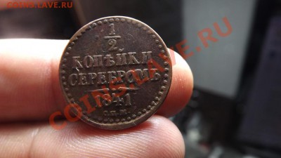2  1841  Жёлтенькая - Изображение 3122