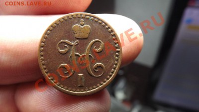 2  1841  Жёлтенькая - Изображение 3107