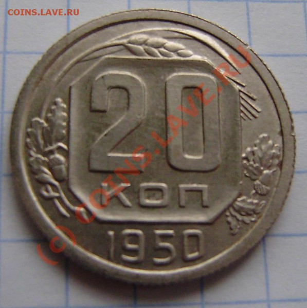 вида) - PA100003.JPG