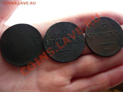 три пятака 1831г.СМ 1832г.СМ 1835г.СМ 23.11.2012г.23-00 МСК - P1040958.JPG