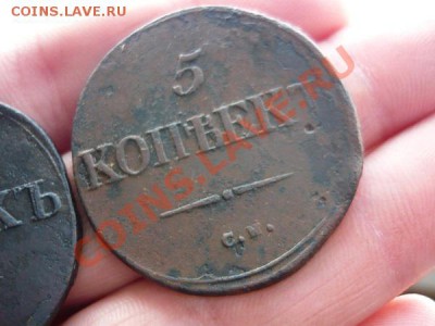 три пятака 1831г.СМ 1832г.СМ 1835г.СМ 23.11.2012г.23-00 МСК - P1040961.JPG