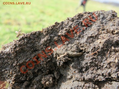 ФОТООТЧЕТЫ ПО ВЫЕЗДАМ СЕЗОН 2012 года - IMG_2344.JPG