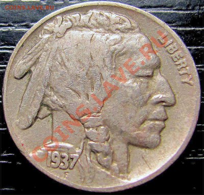 U13 США 5¢ 1937 Buffalo Nickel до 26.11 в 22°° - U13 5c 1937_1