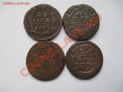 денга1739,1748,1750,1753 - IMG_0208.JPG