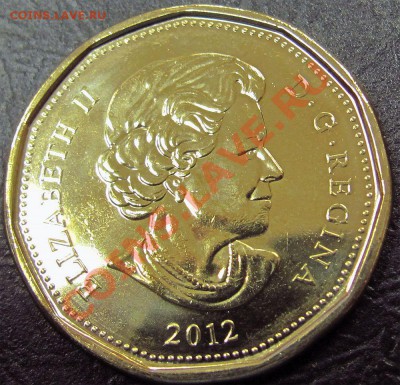 U15 Канада 1$ Lucky Loonie 2012 UNC до 27.11 в 22°° - U14 1$ 2012 Lucky Loon_1